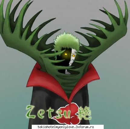 zetsu -  este un ninja di satul ierbii. un personaj foarte misterios despre care inca stim putin.