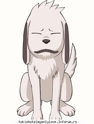 Naruto - Akamaru Akamaru este c�inele ninja al lui Kiba - ~� About Anime,Cartoons, T.V. Shows , Serials �~