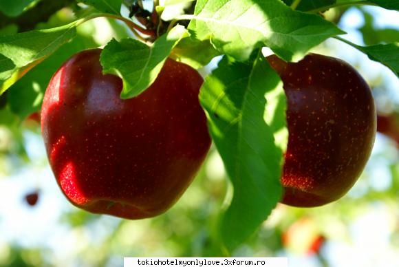10 e sooper hot


ceva racoritor note pt. poza...